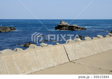 深浦のライオン岩 30015884