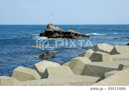 深浦のライオン岩 30015886