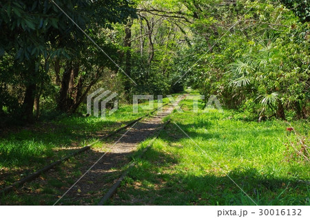 西武安比奈線跡 30016132