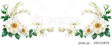 白い花のフレーム素材セットのイラスト素材