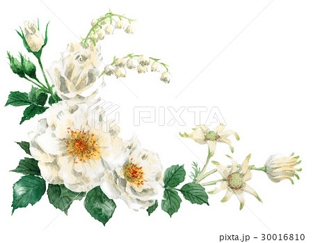 白い花のフレーム素材左のイラスト素材 30016810 Pixta