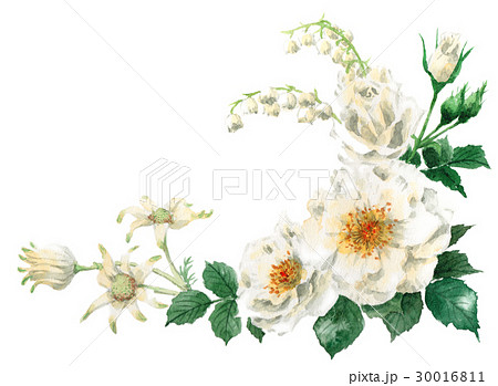白い花のフレーム素材右のイラスト素材 30016811 Pixta