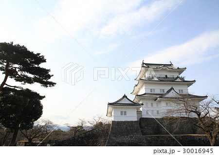 小田原城 天守閣 小田原城 天守閣 30016945