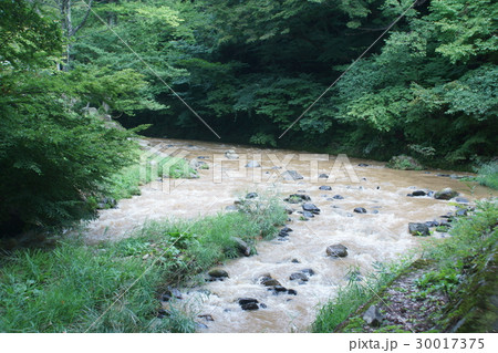 小川の濁流 30017375