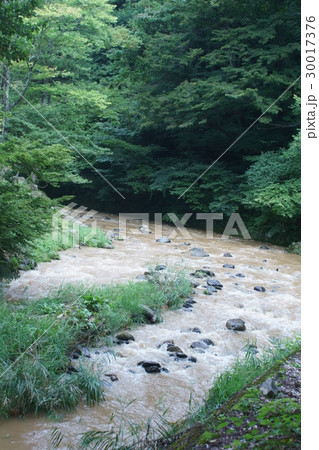 小川の濁流 小川の濁流 30017376