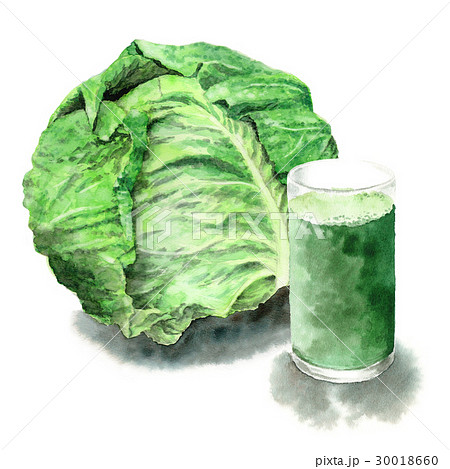 アナログ水彩キャベツとグラスに入った青汁 30018660