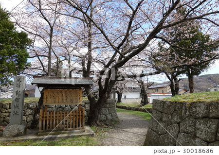 龍岡城虎口（４月） 30018686