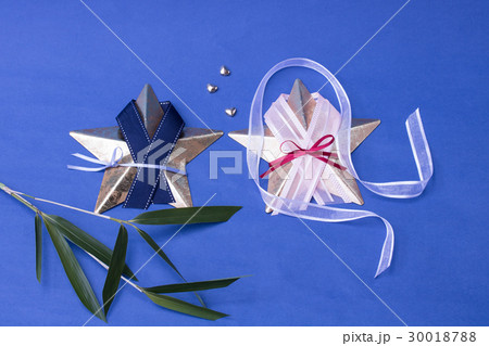 七夕・織姫彦星 七夕・織姫彦星 30018788