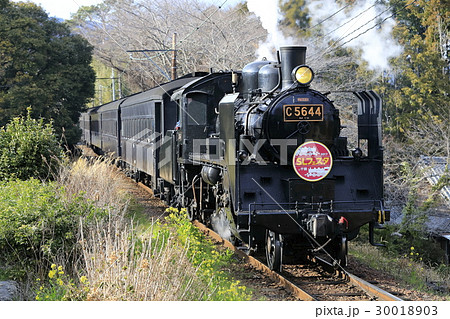 大井川鉄道SLフェスタ 大井川鉄道SLフェスタ 30018903