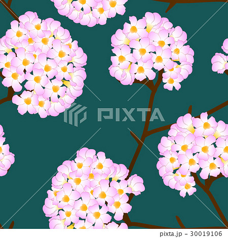 Pink Trumpet Flower on Green Background.  30019106