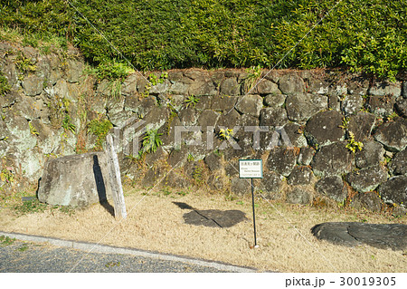 清見ヶ関跡 30019305