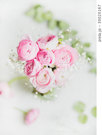 Light pink ranunkulus flowers on marble background Light pink ranunkulus flowers on marble background 30020167