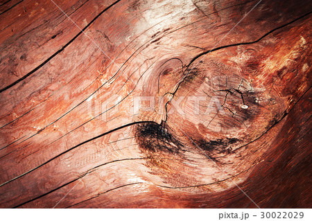 A detail of cut old wood A detail of cut old wood 30022029