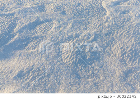 Photo snow, close-up Photo snow, close-up 30022345