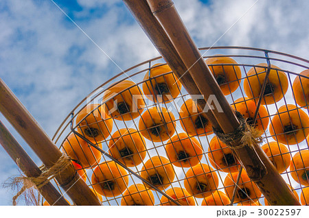台湾 青空 青い空 30022597