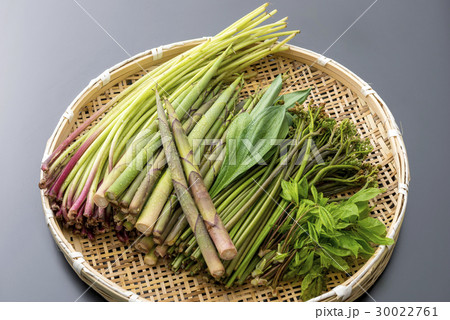 山菜盛り合わせ 30022761