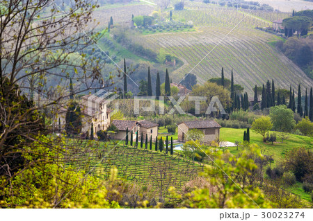 Typical Tuscan landscape 30023274