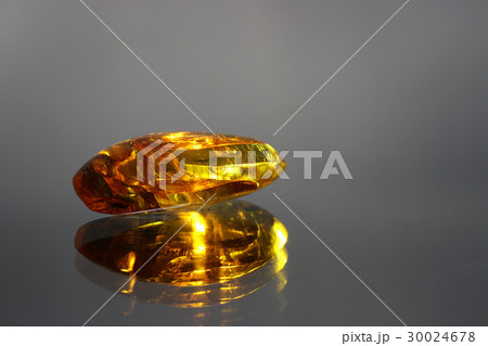 虫入り琥珀 30024678