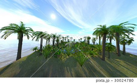 藤棚と池のある庭 30024780