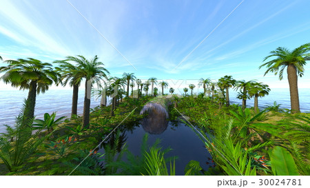 藤棚と池のある庭 藤棚と池のある庭 30024781