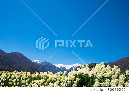 駒ヶ岳　信州駒ヶ根より望む 30026292