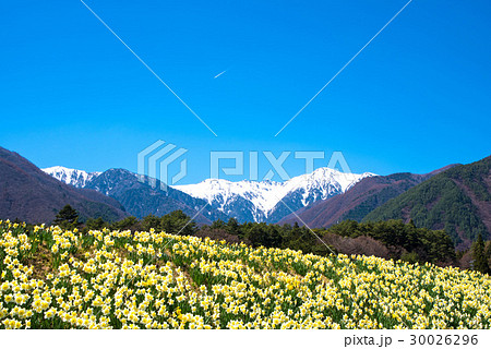駒ヶ岳  信州駒ヶ根より望む 30026296