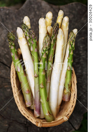 white and green asparagus 30026429
