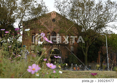 キャンパス 学園 校庭 30026477