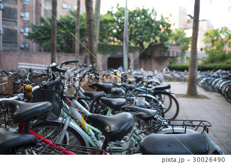 キャンパス 学園 校庭 30026490