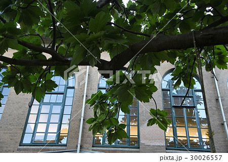 キャンパス 学園 校庭 30026557