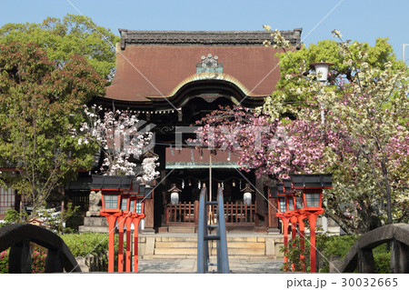 京都　六孫王神社　唐門 30032665