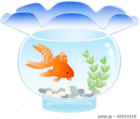 金魚鉢 30033356