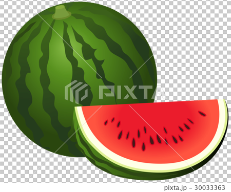 スイカ02 30033363