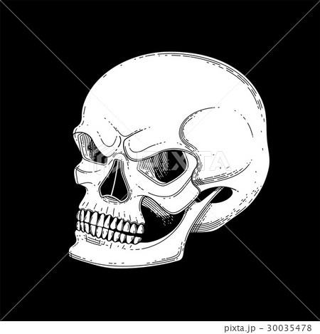 Graphic skull with fearful smile Graphic skull with fearful smile 30035478