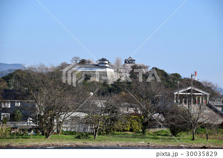 彦根城、桜 30035829