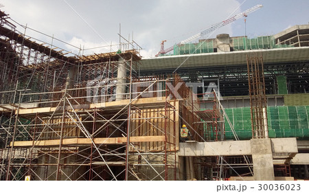 Timber form work and scaffolding Timber form work and scaffolding 30036023