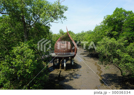スンガイブロー湿地保護区 30036334