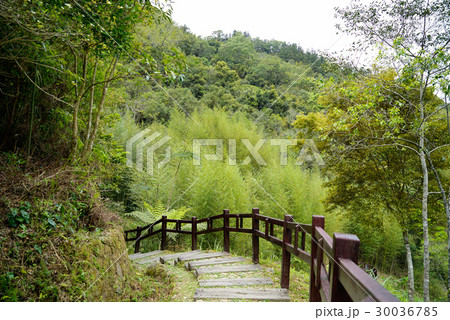 景色 風景 台湾 30036785