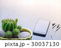 Smartphone and cactus  on working table. 30037130