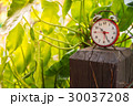 Clock  in Natural background. 30037208