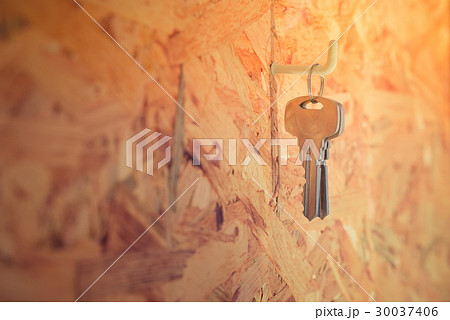 Steel Key hanging on a hook in wooden wall. 30037406