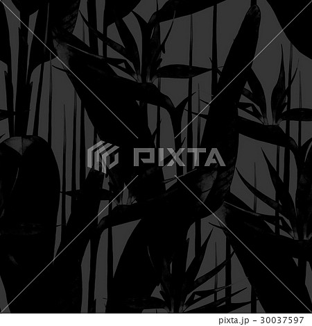 Watercolor strelitzia pattern 30037597