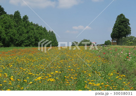 メナード青山リゾート~ハーブガーデン~ メナード青山リゾート~ハーブガーデン~ 30038031