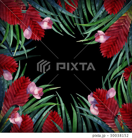 Watercolor tillandsia cyanea card Watercolor tillandsia cyanea card 30038152