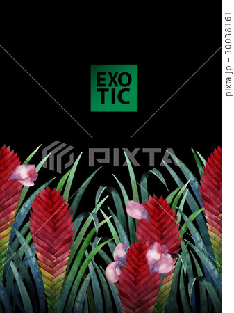 Watercolor tillandsia cyanea card 30038161