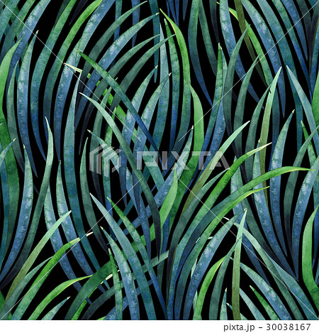 Watercolor tillandsia cyanea pattern Watercolor tillandsia cyanea pattern 30038167