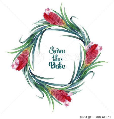 Watercolor tillandsia cyanea wreath Watercolor tillandsia cyanea wreath 30038171