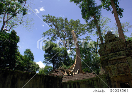 青空に聳え立つ古代遺跡群、タ・プローム＠シェムリアップ、カンボジア 30038565