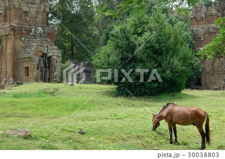 青空に聳え立つ古代遺跡群、アンコール・トム＠シェムリアップ、カンボジア 30038803