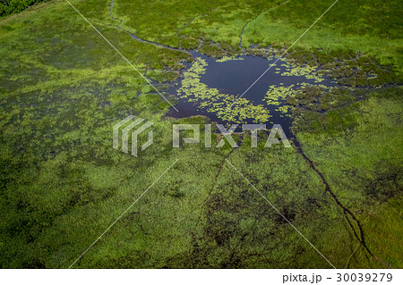 Aerial view of the Okavango delta. Aerial view of the Okavango delta. 30039279